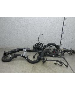 Motorkabelbaum A6421505489 A2125462280 195T Mercedes W212 E 220 CDI 11.1495.171