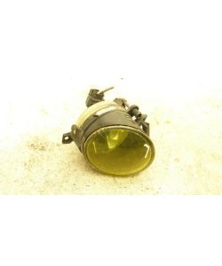 Nebelscheinwerfer L links 112Tkm VW Jetta V 1KM 1.6 VJ.06.1229.029