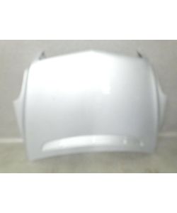 Motorhaube silber 775 244Tkm Mercedes W251 R 300 CDI 10.1675.071