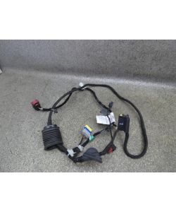 Kabelbaum Tür vorne links 1376570080 Fiat Ducato 2.3 Kasten 30 130 15.1828.032