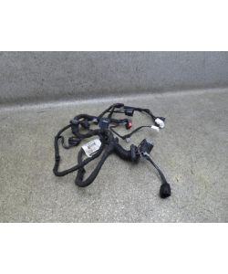 Kabelbaum hinten links EW93-14027-AAC HL 153Tkm Jaguar XJ X351 3.0 14.1749.230