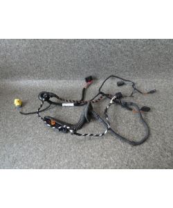 Kabelbaum Tür vorne rechts 3C8971121CC VW Passat CC 1.8 TSI 10.1776.188