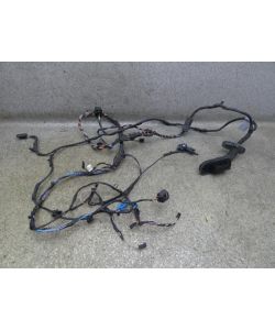 Tür Kabelbaum vorne rechts 9197634 9197633 VR 271Tkm BMW F01 750i 09.1714.290