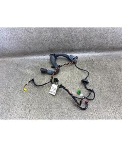 Kabelbaum Tür hinten links rechts A2044407906 Mercedes X204 250 CDI 11.1899.063