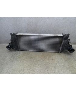 Ladeluftkühler A1645001900 277Tkm Mercedes W251 R280 300 09.1805.131