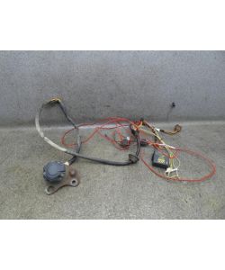 Kabelbaum Anhängerkupplung E-Satz Steuergerät  Nissan Qashqai+2 J10 11.1773.082