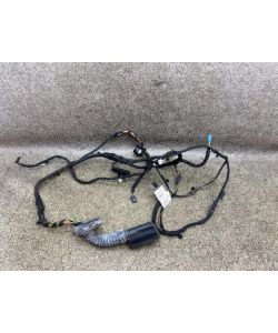 Kabelbaum Tür hinten rechts 9274392 9297100 BMW 3er F34 328i GT 13.1934.044