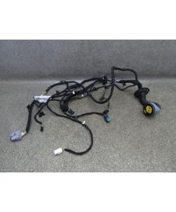 Kabelbaum Tür VL vorne links 9663411180 129Tkm Citroen C6 3.0 HDI 10.1812.113