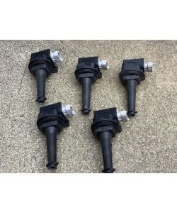 Zündspule 30713417 0221604010 112Tkm Volvo S80 II 2.5T Kinetic 07.1879.110