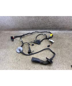 Kabelbaum Tür vorne links 8R0971029AB 182Tkm Audi Q5 8R 2.0 TDI 10.1961.074