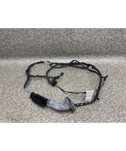 Kabelbaum Tür hinten rechts 2291400 9274391 9297100 BMW F34 328i GT 13.1976.045