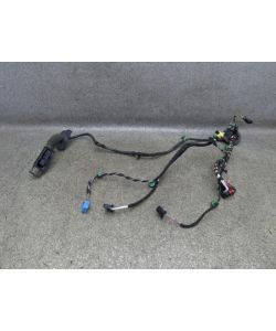 Kabelbaum Tür VL vorne links 3G1971120M 193Tkm VW Passat B8 2.0 TDI 17.1818.138