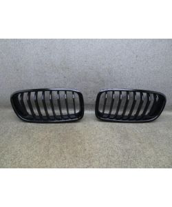 Kühlergrill 7405836 7405835 Frontgrill 132Tkm BMW F31 F30 318d 13.1719.079