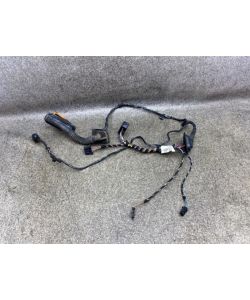 Kabelbaum Tür hinten links 5N0971693AD VW Tiguan I 5N 2.0 TDI 16.1938.066