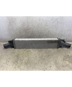 Ladeluftkühler 8K0145805P def 245Tkm Audi A4 8K 2.0 TDI 13.1905.089