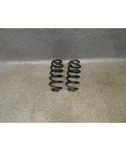 Federn hinten 98Tkm Nissan Qashqai II J11 1.2 DIG-T Acenta 16.1851.192