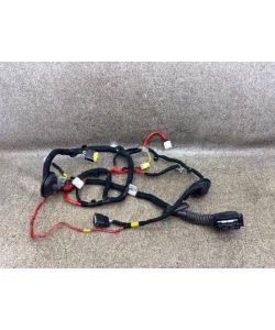 Kabelbaum Tür vorne links 91600-G7010 Hyundai Ioniq AE Electric 19.1943.041