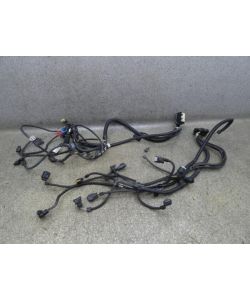 Motorkabelbaum 7607973 7607974 N13B16 1.6L BMW F30 316i 3L M-Paket 13.1791.190