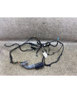 Kabelbaum Tür hinten rechts 9274392 9297100 BMW 3er F34 328i GT 13.1934.044