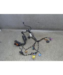 Kabelbaum Tür VL vorne links 5N1971120F 165Tkm VW Tiguan 5N 2.0 TSI 10.1806.113