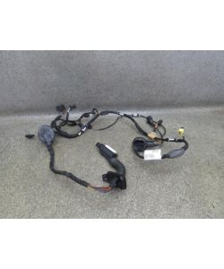 Kabelbaum Tür VL vorne links 4G5971029GN Audi A6 C7 4G 3.0 TDI 13.1821.097