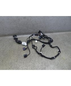 Kabelbaum vorne links EW93-14631-AC VL 153Tkm Jaguar XJ X351 3.0 14.1749.229