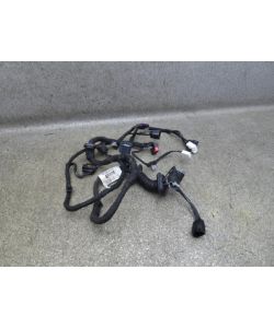 Kabelbaum hinten links EW93-14027-AAC HL 153Tkm Jaguar XJ X351 3.0 14.1749.230