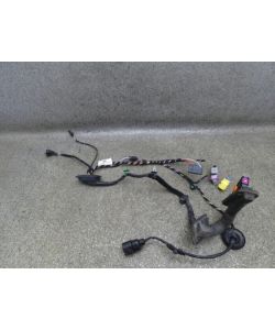 Kabelbaum Tür vorne rechts 5N1971121R 187Tkm VW Tiguan I 5N 10.1847.045