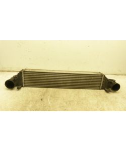 Ladeluftkühler Kühler 111Tkm Mercedes W203 CL C C200 CGI 200 04.1241.016