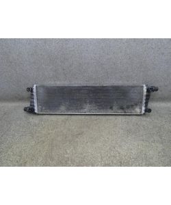 Ladeluftkühler EX53-8D048-AA 80Tkm Jaguar F-Type 2.0 P300 QQ6 Cabrio 17.1800.271