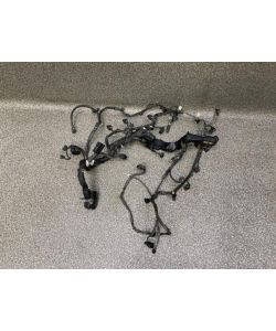 Motorkabelbaum A6421500493 642.889 Mercedes X-Klasse W470 X 350D 19.2001.291