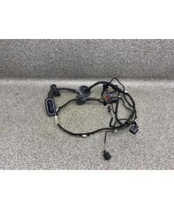 Kabelbaum Tür vorne links 4L0971029CC Audi Q7 4L 4.2 TDI V8 13.2010.078