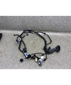 Tür Kabelbaum vorne rechts 241254678R Renault Talisman Grandtour 18.2019.046