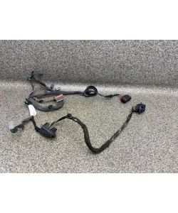 Tür Kabelbaum hinten links 30795065 187Tkm Volvo S80 II Summum 07.2022.091