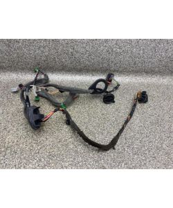 Tür Kabelbaum hinten rechts 30795067 187Tkm Volvo S80 II Summum 07.2022.090