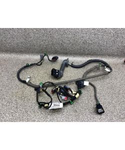 Tür Kabelbaum vorne links GV4T-14A584 32Tkm Ford Kuga II DM2 1.5 18.2027.093