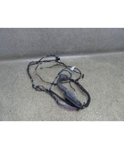 Kabelbaum Tür VR vorne rechts 9186664-01 159Tkm BMW 3er E92 320D 3C 11.1810.054